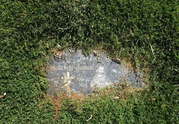 Hormozi, Manouchehr gravesite